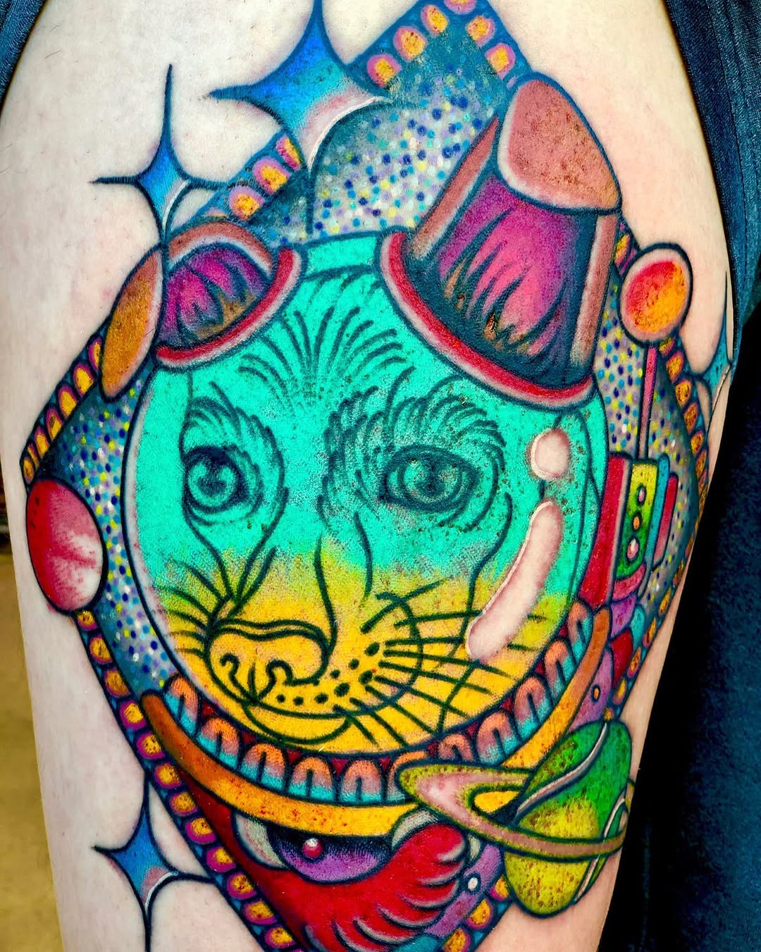Animal, Tiger