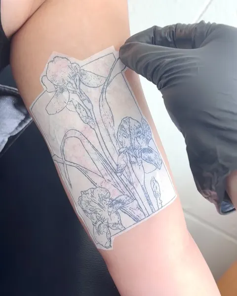 Flower, 백합, 난초, 튤립