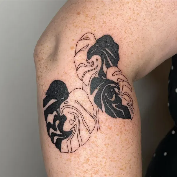 plantsnpokes