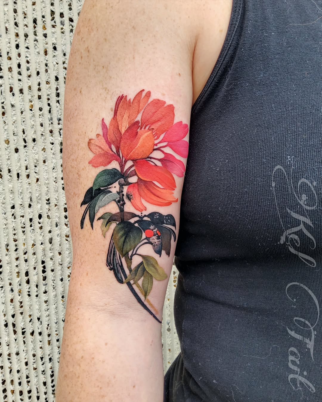 Flower, Rose, Nature