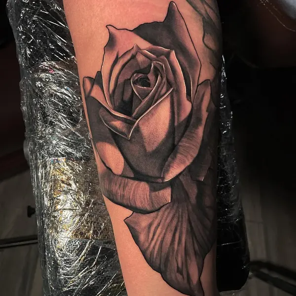 Rose, Flower