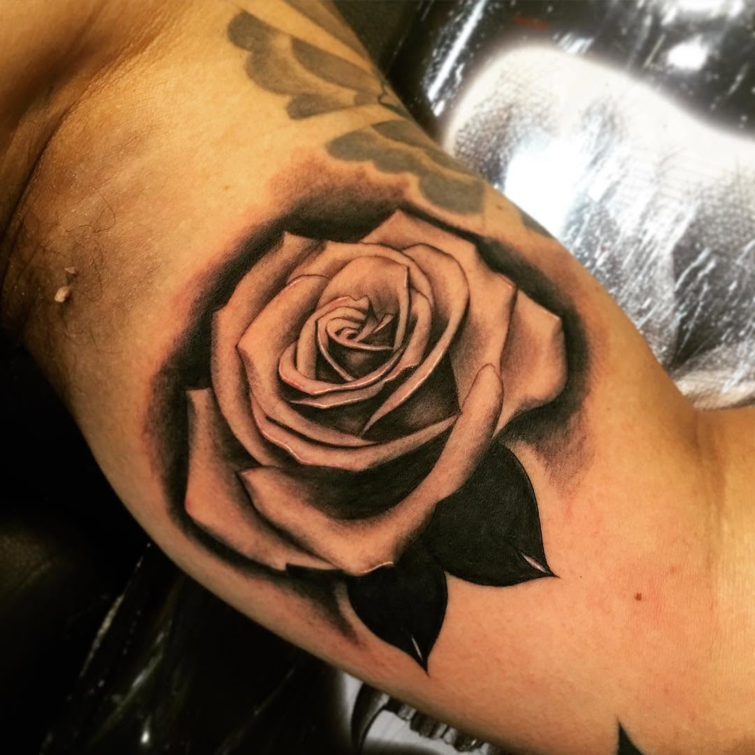 Flower, Rose