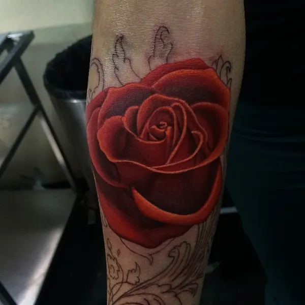 Flower, Rose
