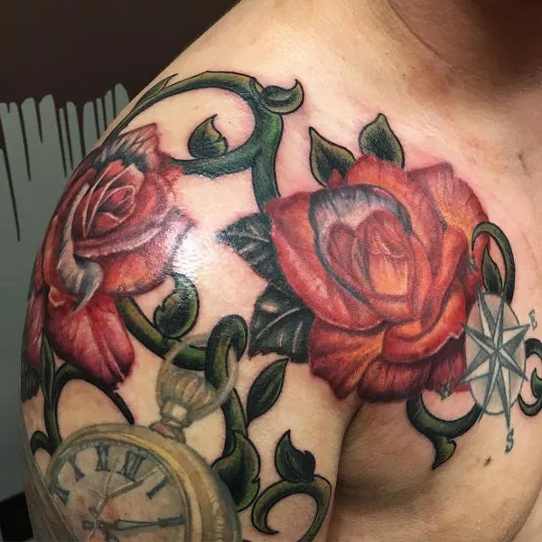 Flower, Rose, Nature