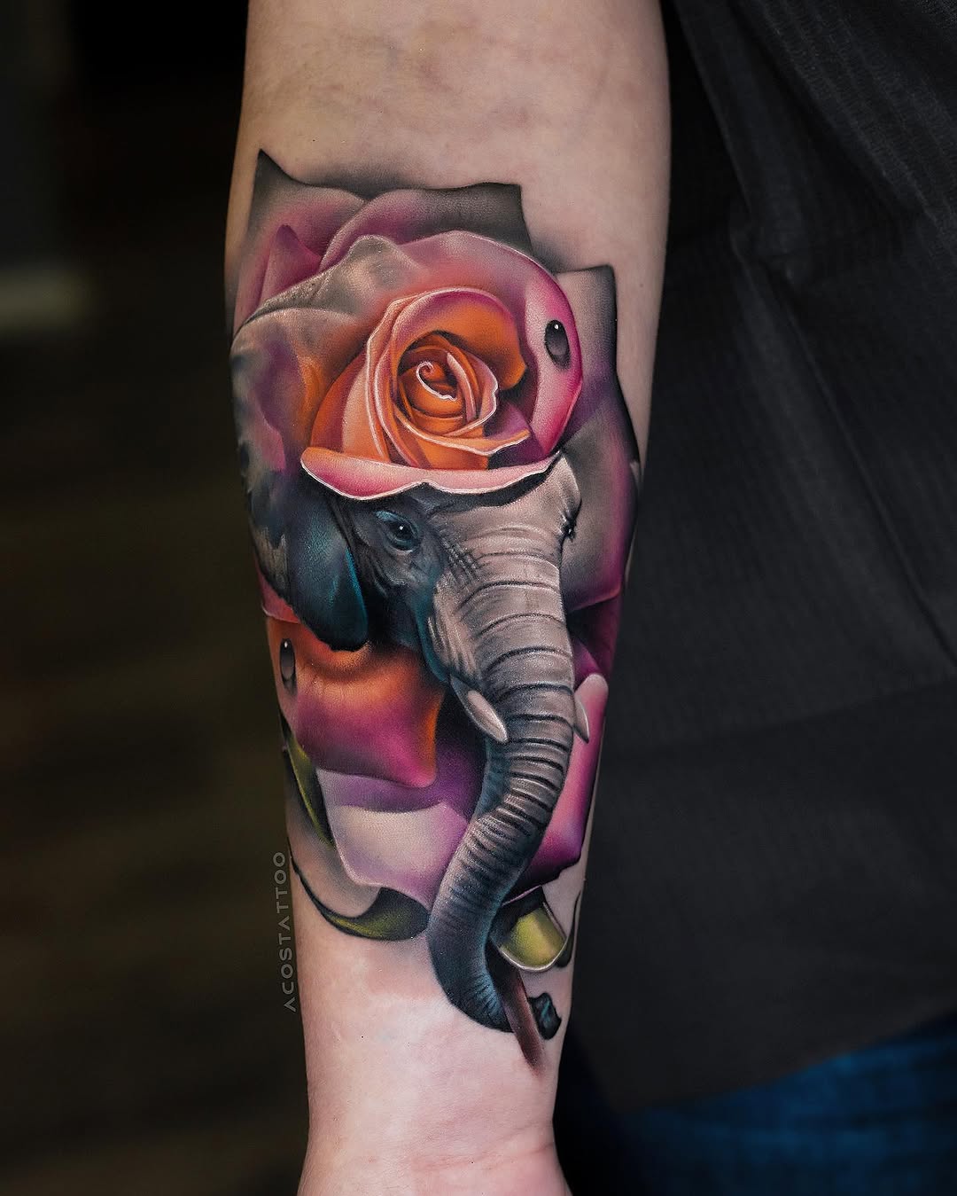 Flower, 코끼리