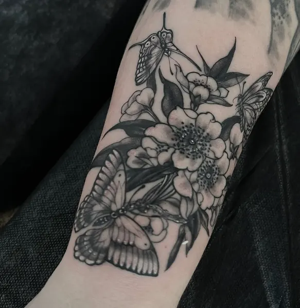 Flower, Animal, Nature, Rose