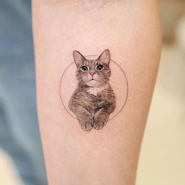 고양이