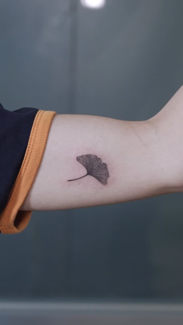Flower, 잎, 은행잎, 단풍잎, 수선화, 조개껍데기