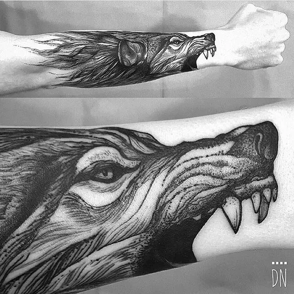 Animal, Tiger