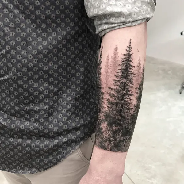 Nature, 숲, 소나무