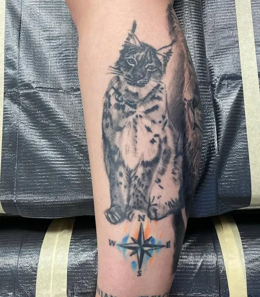 Animal, Tiger