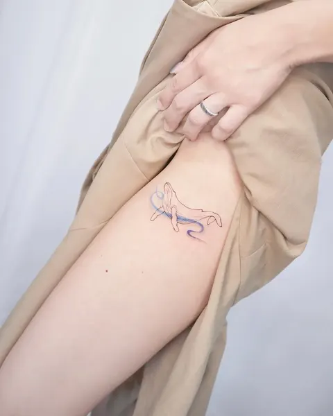 해마, 양자리, 염소자리