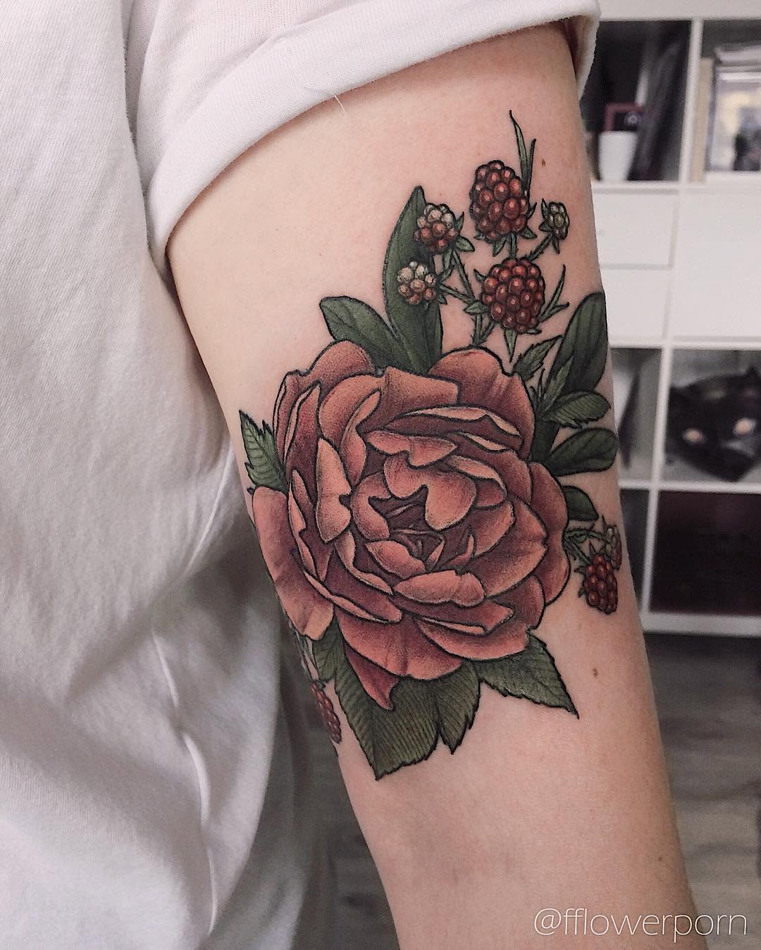 Flower, Rose, Nature