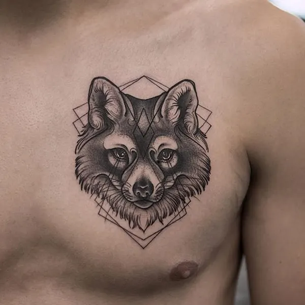 Animal, Tiger, 여우