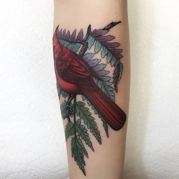 Flower, Animal, Nature, 앵무새
