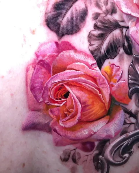 Flower, Rose, Nature