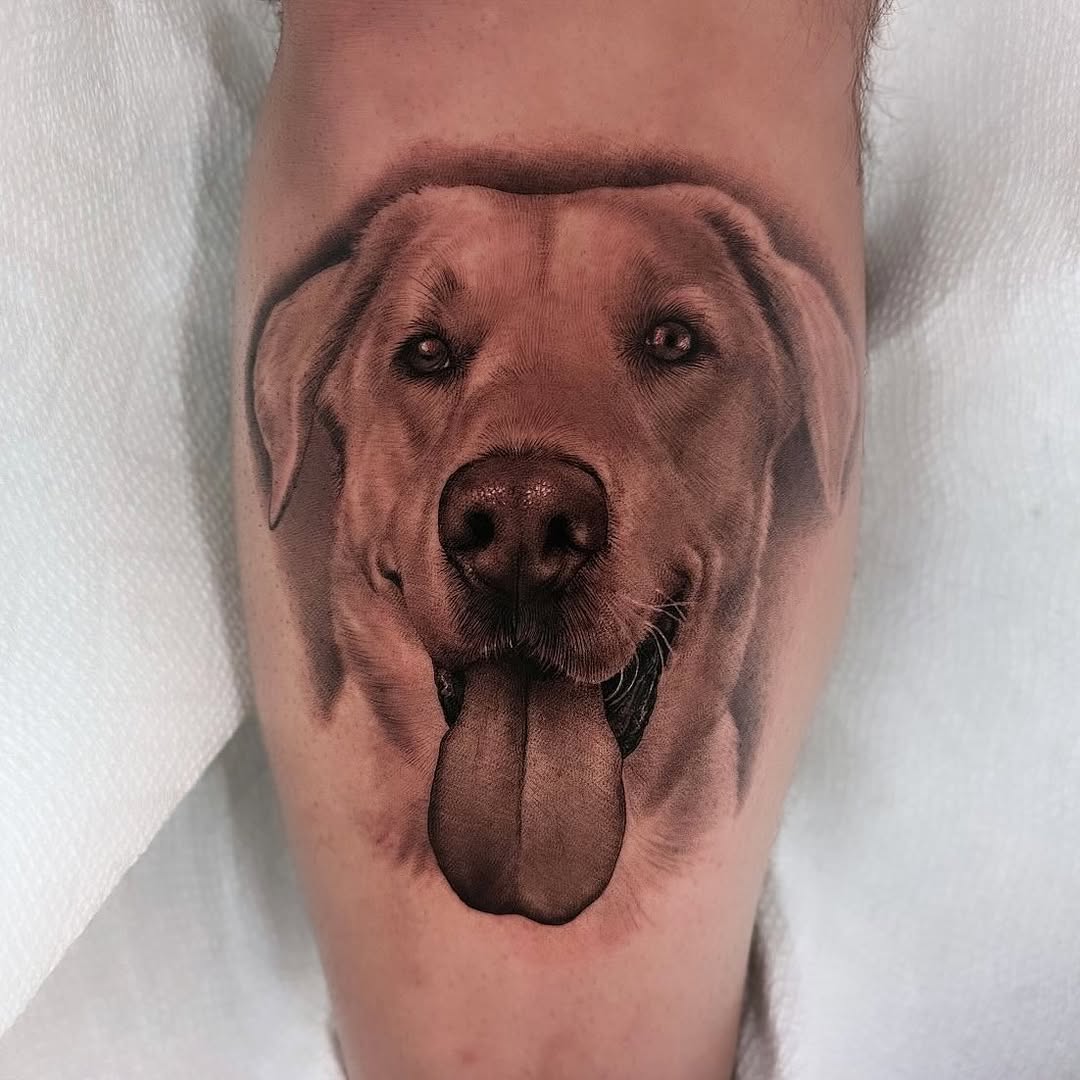 Animal