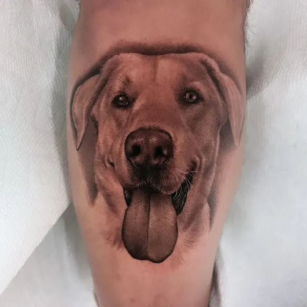 Animal