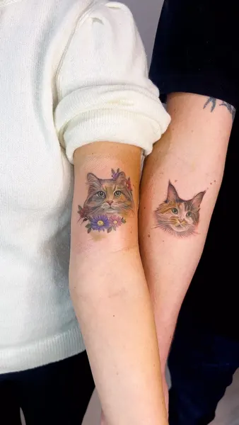 Animal, 우정