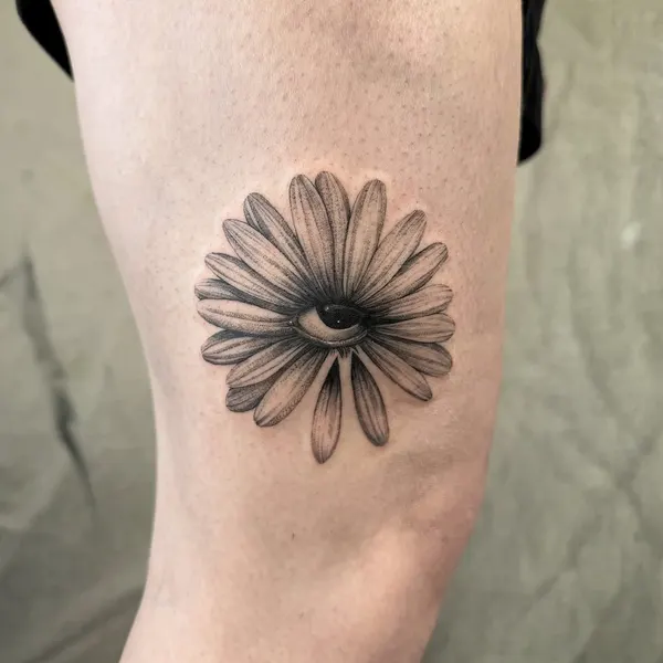 Flower, 국화, 데이지, 해바라기