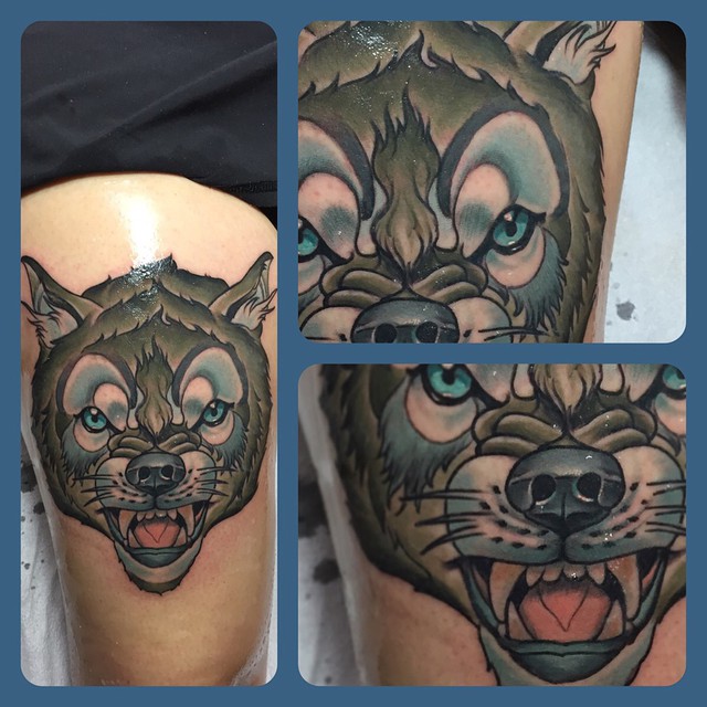 Tiger, Animal