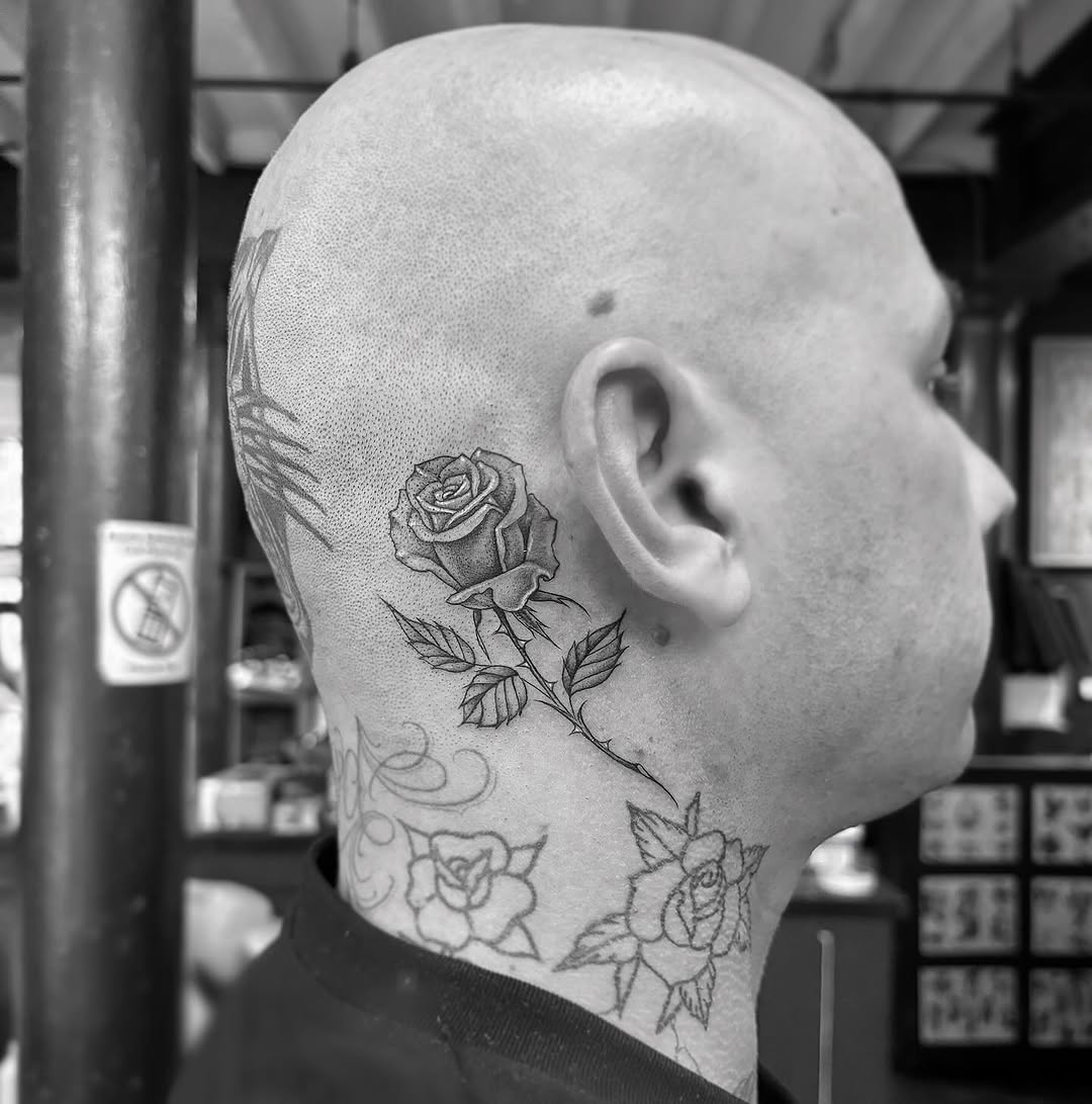 Flower, Rose