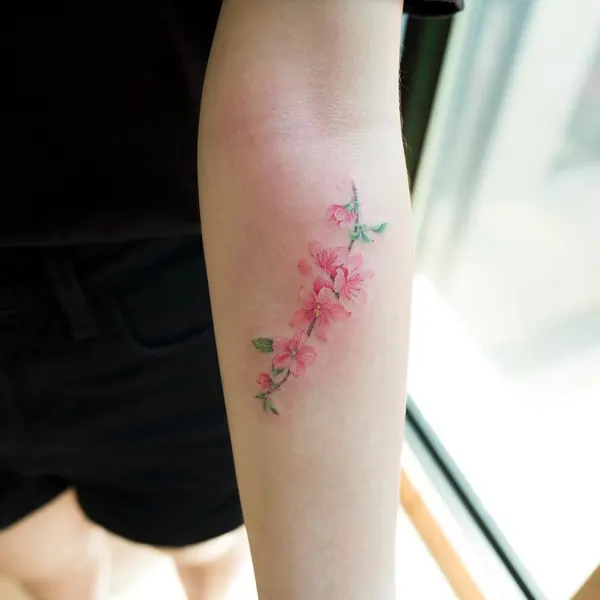 Flower, Rose
