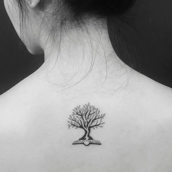 Nature, Flower, 뿌리, 나무, 소나무, 실루엣, 올리브 가지