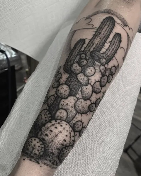 Mini, 선인장, 산호
