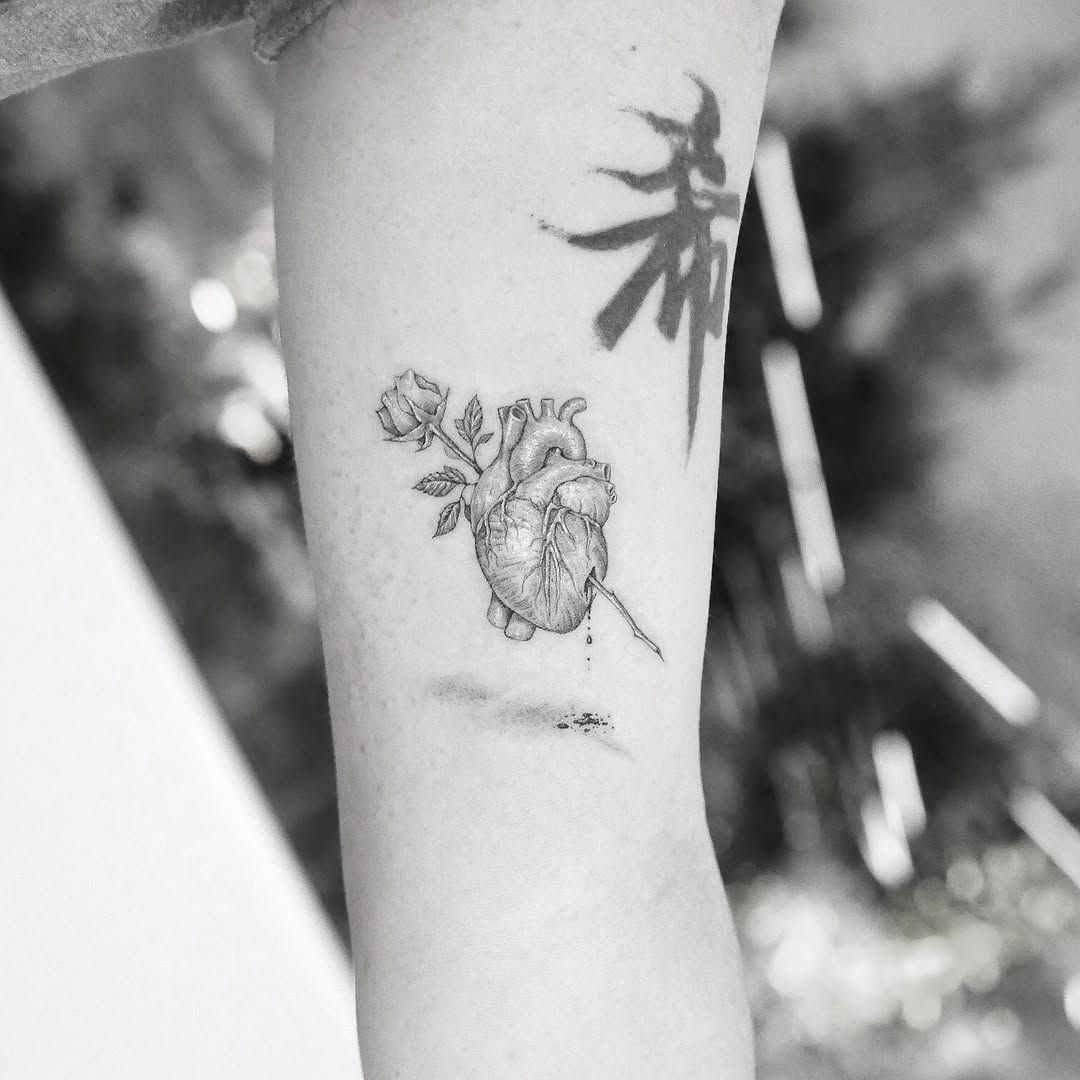 Flower, Rose