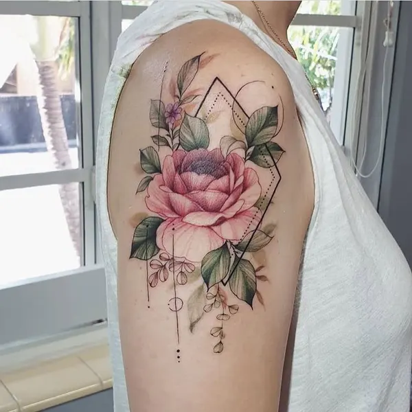Rose, Nature, Flower