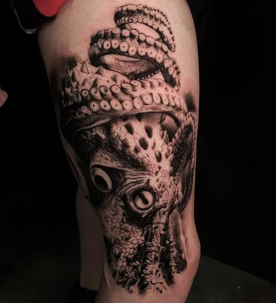 Animal