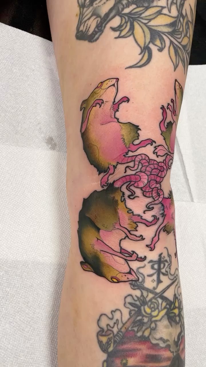 Dragon