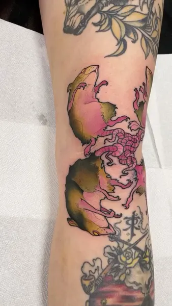 Dragon