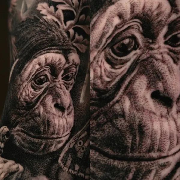 Tiger, Animal