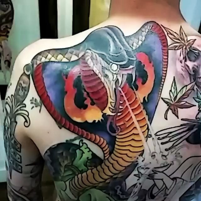 Dragon, 드래곤 라이더