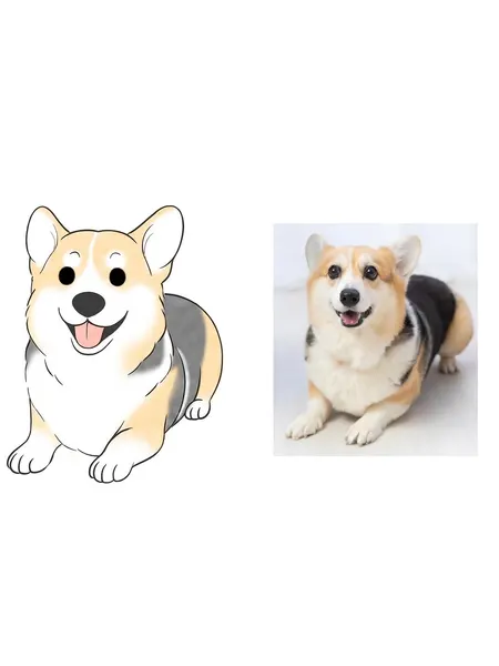 Animal