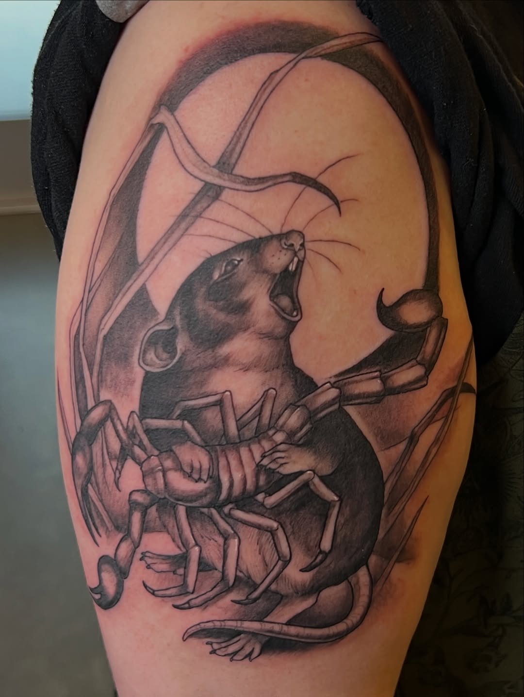 shawn_hebrank