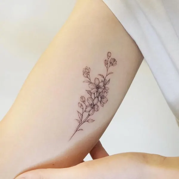 Flower, 라벤더, 나뭇가지, 카네이션, Nature, 멘디, 수국, 허브
