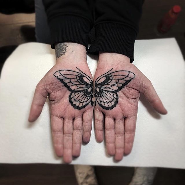 손, Animal, Nature, 나방, 기도하는 손, 매미