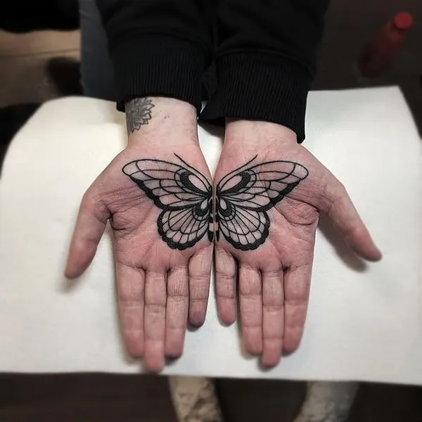 손, Animal, Nature, 나방, 기도하는 손, 매미