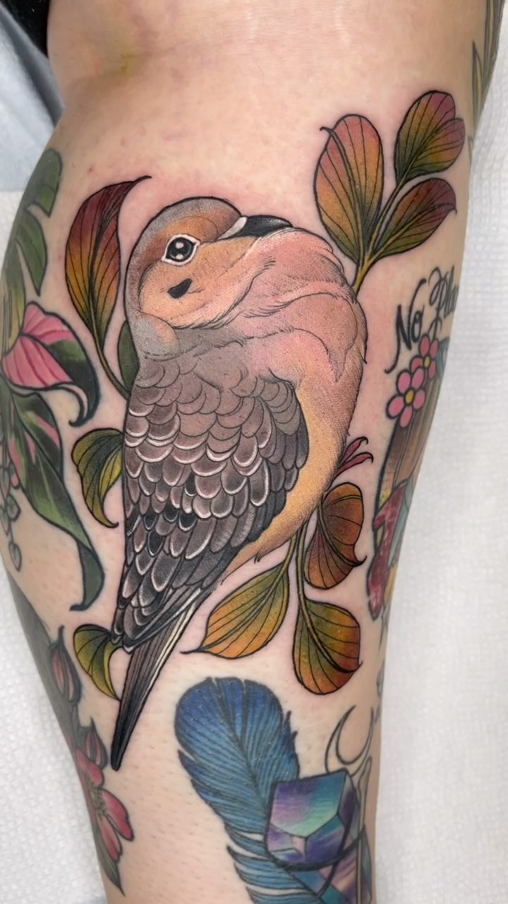 charlotte.e.tattoos
