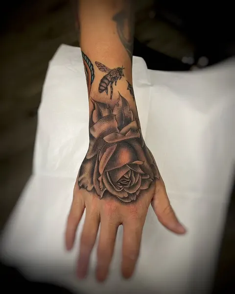 Flower, Rose, Nature