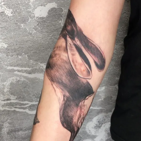 토끼, Animal