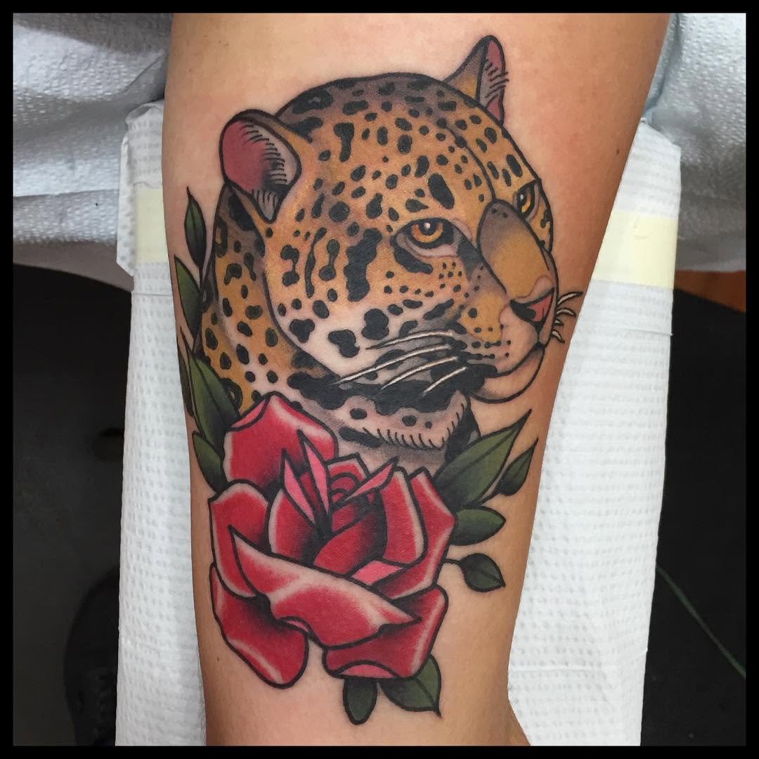 Animal, 표범, 재규어, 치타