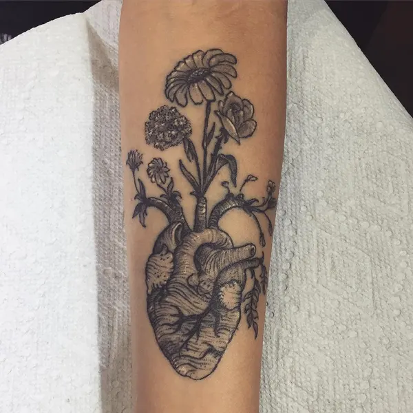 Flower, Rose, 폐, 뿌리