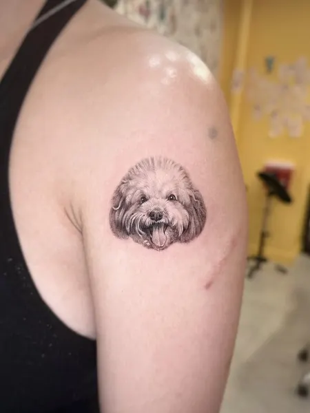 Animal