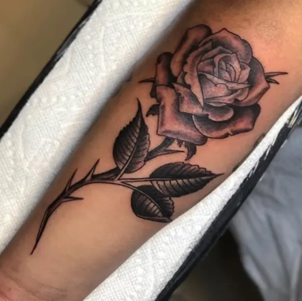 Flower, Rose