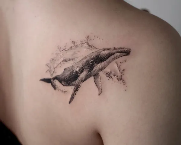 Nature, 상어, 고래, 돌고래