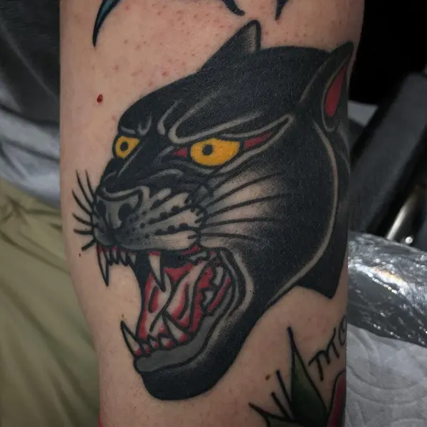Animal, Tiger, 팬서